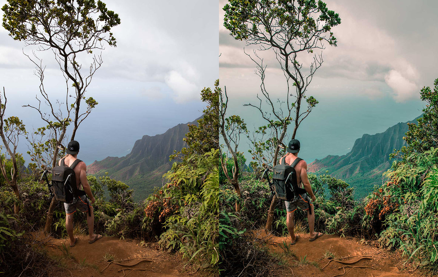 Jurassic Presets
