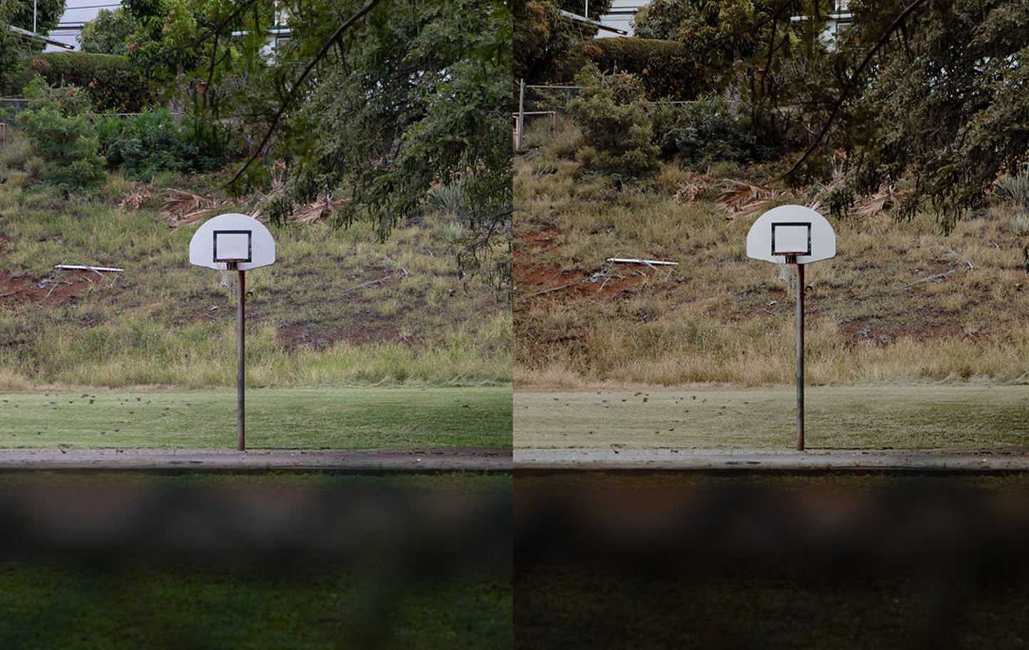 Jurassic Presets