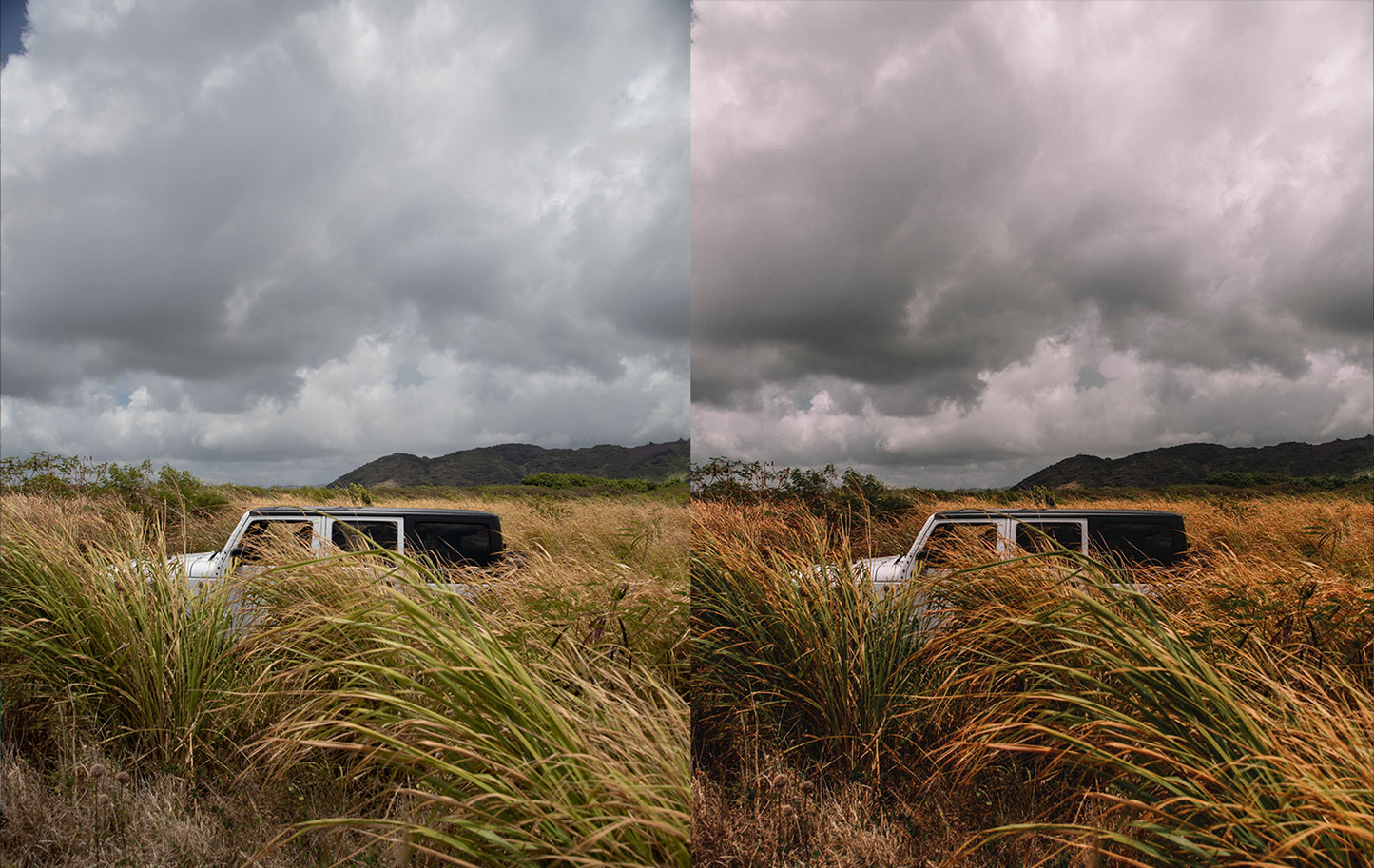 Jurassic Presets